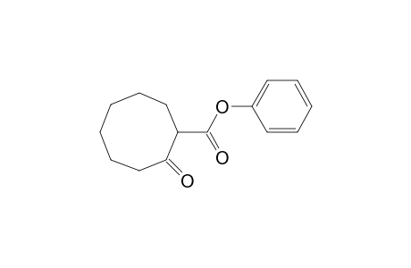 phenyl 2-Oxocyclooctanecarboxylate