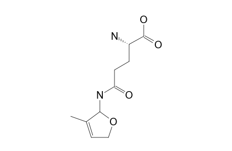 LONGITUBANINE-B;N(5)-(3'-METHYL-2',5'-DIHYDRO-2'-FURYL)-GLUTAMINE