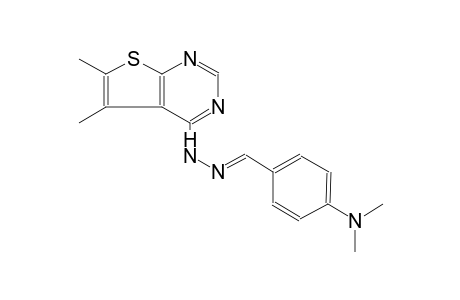 benzaldehyde, 4-(dimethylamino)-, (5,6-dimethylthieno[2,3-d]pyrimidin-4-yl)hydrazone