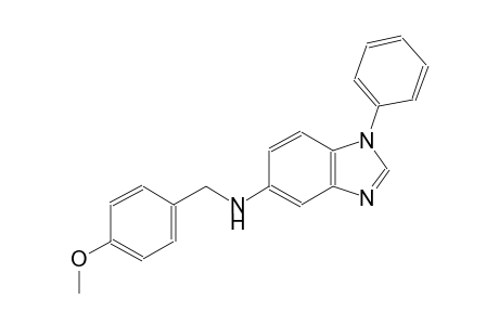 N-(4-methoxybenzyl)-1-phenyl-1H-benzimidazol-5-amine