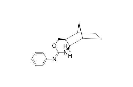 Diexo-5,8-methano-2-phenylimino-hexahydro-4H-3,1-benzoxazine