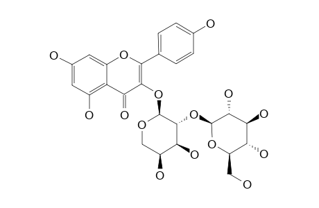KAEMPFEROL-3-O-BETA-D-GLUCOPYRANOSYL-(1'''->2'')-O-ALPHA-L-ARABINOPYRANOSIDE