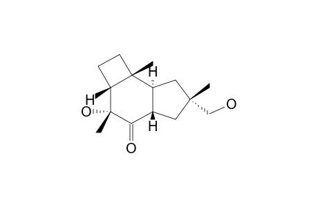 ILLUDIOLONE