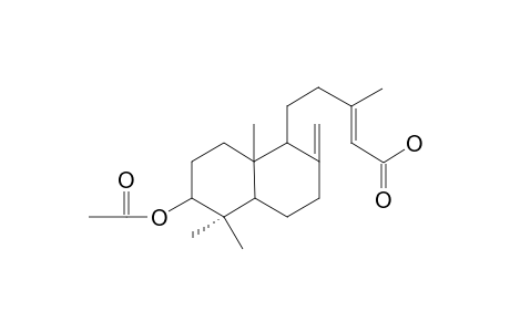 3-ACETOXY-8(20),13-DIENE-15-OIC ACID