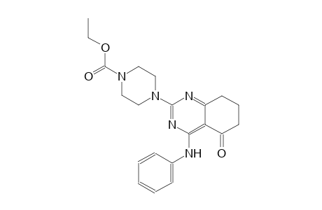 1-piperazinecarboxylic acid, 4-[5,6,7,8-tetrahydro-5-oxo-4-(phenylamino)-2-quinazolinyl]-, ethyl ester