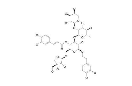 BALLOTETROSIDE;(3,4-DIHYDROXYPHENYL)-2-ETHYL-[ALPHA-L-ARABINOPYRANOSYL-(1->2)-ALPHA-L-RHAMNOPYRANOSYL-(1->3)]-BETA-D-APIOFURANOSYL-(1->6)-4-O-CAFFE