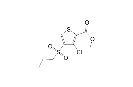 Thiophene-2-carboxylic acid, 3-chloro-4-propylsulfonyl-, methyl ester
