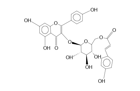 KAEMPFEROL 3-0-(6-O-P-COUMAROYL)-beta-D-GLUCOSIDE