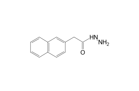 2-naphthaleneacetic acid, hydrazide