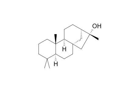 Phyllocladanol