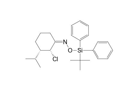 Cyclohexanone, 2-chloro-3-(1-methylethyl)-, O-[(1,1-dimethylethyl)diphenylsilyl]oxime, (1E,2.alpha.,3.alpha.)-(.+-.)-