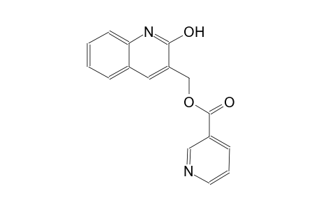 (2-hydroxy-3-quinolinyl)methyl nicotinate