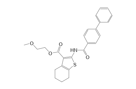 2-methoxyethyl 2-[([1,1'-biphenyl]-4-ylcarbonyl)amino]-4,5,6,7-tetrahydro-1-benzothiophene-3-carboxylate