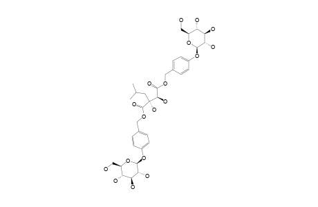 LOROGLOSSIN;[2,3-DIHYDROXY-2-(2-METHYLPROPYL)-1,4-DIOXO-1,4-BUTANE-DIYL]-BIS-(OXYMETHYLENE-4,1-PHENYLENE)-BIS-BETA-D-GLUCOPYRANOSIDE