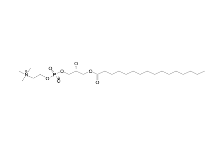 1-O-PALMITOYL-SN-GLYCERO-3-PHOSPHOCHOLINE