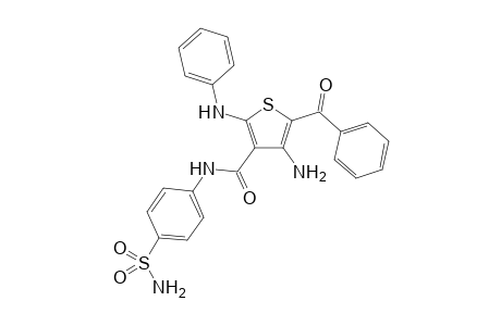 4-amino-5-benzoyl-N-[4-(aminosulfonyl)phenyl]-2-(phenylamino)thiophene-3-carboxamide