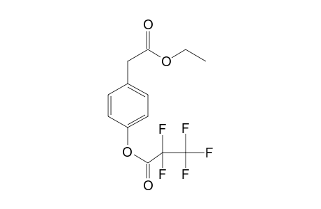 4-Hydroxyphenylacetic acid, ethyl ester, pfp