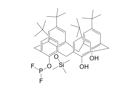 1-O-(Difluorophosphanyl)-2-O-(trimethylsilyl)[ tetrakis(t-butyl)]calix[4]pyrocatechol