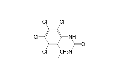 Urea, (2,3,4,5-tetrachloro-6-methoxyphenyl)-