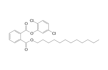 Phthalic acid, 2,5-dichlorophenyl dodecyl ester