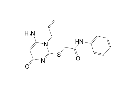 2-[(1-allyl-6-amino-4-oxo-1,4-dihydro-2-pyrimidinyl)sulfanyl]-N-phenylacetamide