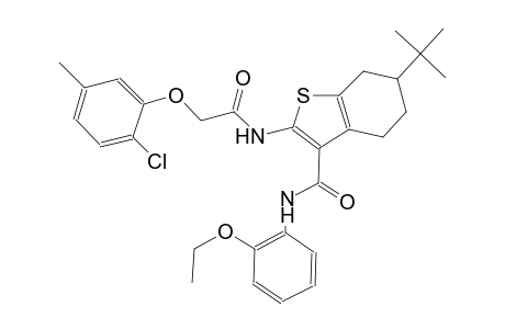 6-tert-butyl-2-{[(2-chloro-5-methylphenoxy)acetyl]amino}-N-(2-ethoxyphenyl)-4,5,6,7-tetrahydro-1-benzothiophene-3-carboxamide
