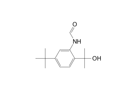 Formamide, N-[5-(1,1-dimethylethyl)-2-(1-hydroxy-1-methylethyl)phenyl]-