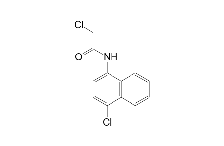 Acetamide, 2-chloro-N-(4-chloro-1-naphthalenyl)-