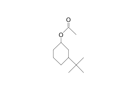 cis-3-tert-Butyl-1-acetoxy-cyclohexane