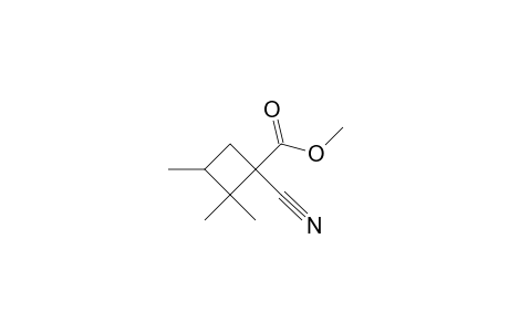 1-Cyano-2,2,3-trimethyl-cyclobutan-carbonsaeure-methylester, (#12A)