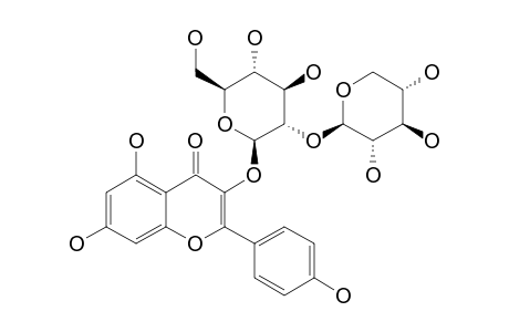 KAEMPFEROL-3-O-(2-O-BETA-D-XYLOPYRANOSYL)-BETA-D-GLUCOPYRANOSIDE