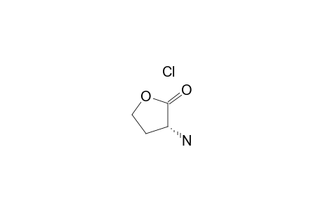 (R)-(+)-alpha-amino-gamma-butyrolactone hydrochloride