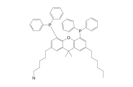 5-[4,5-bis[di(phenyl)phosphanyl]-7-hexyl-9,9-dimethyl-xanthen-2-yl]pentylamine