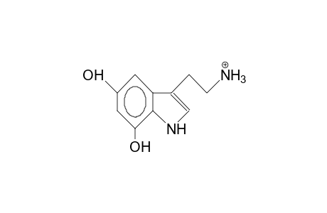 5,7-Dihydroxy-tryptammonium cation