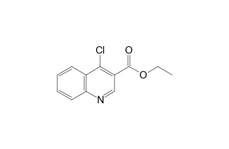 ethyl 4-chloroquinoline-3-carboxylate