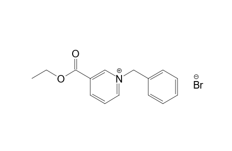 1-benzyl-3-carboxypyridinium bromide, ethyl ester