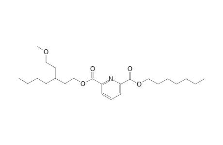 2,6-Pyridinedicarboxylic acid, heptyl 3-(2-methoxyethyl)heptyl ester