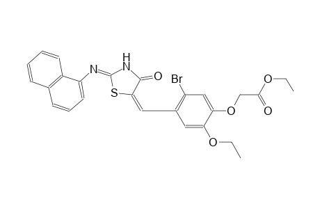 ethyl (5-bromo-2-ethoxy-4-{(E)-[(2Z)-2-(1-naphthylimino)-4-oxo-1,3-thiazolidin-5-ylidene]methyl}phenoxy)acetate