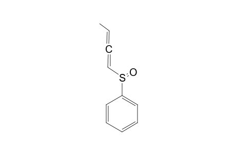 Buta-1,2-dienylsulfinylbenzene