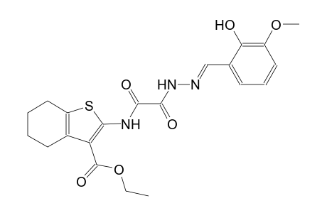 ethyl 2-{[[(2E)-2-(2-hydroxy-3-methoxybenzylidene)hydrazino](oxo)acetyl]amino}-4,5,6,7-tetrahydro-1-benzothiophene-3-carboxylate