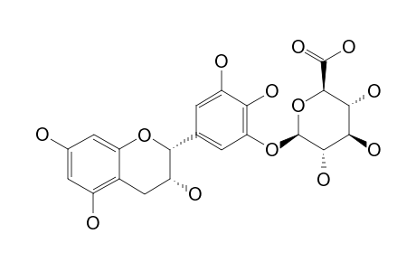EGC-3'-GLUC;(-)-EPIGALLOCATECHIN-3'-GLUCURONATE