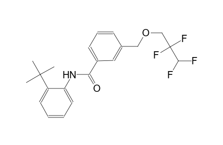N-(2-tert-butylphenyl)-3-[(2,2,3,3-tetrafluoropropoxy)methyl]benzamide