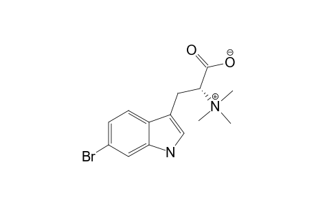D-6-BROMOHYPAPHORINE