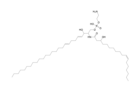 PE-Cer 26:2;2O/18:1;O