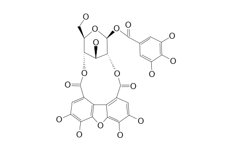 PHYLLANEMBLININ-A;1-O-GALLOYL-2,4-TETRAHYDROXYDIBENZOFURANDICARBOXYL-BETA-D-GLUCOSE