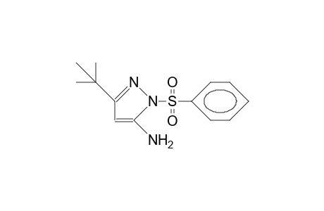 5-Amino-1-phenylsulfonyl-3-tert-butylpyrazole