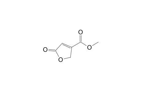 5-keto-2H-furan-3-carboxylic acid methyl ester