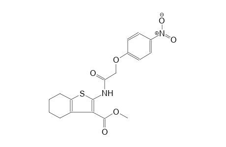benzo[b]thiophene-3-carboxylic acid, 4,5,6,7-tetrahydro-2-[[(4-nitrophenoxy)acetyl]amino]-, methyl ester
