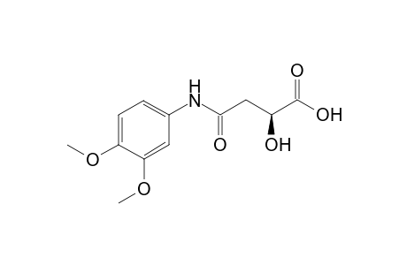 N-(3,4-Dimethoxyphenyl)-(S)-2-hydroxysuccinamic Acid