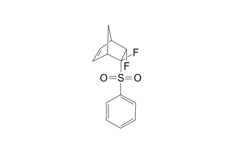 5,6-Difluoro-exo-5-(phenylsulfonyl)bicyclo[2.2.1]hept-2-ene